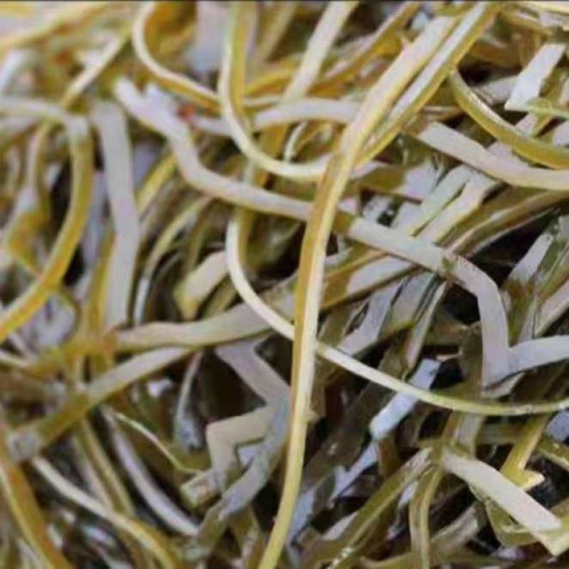 干海带海带丝烘干海带丝水洗烘干海带丝海带片一棵菜