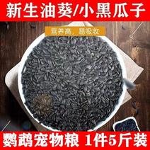 【产地销】年新黑珍珠小瓜子葵花子油葵籽商用批发