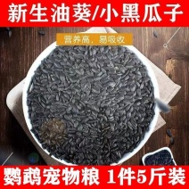 【产地销】年新黑珍珠小瓜子葵花子油葵籽商用批发