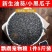【产地销】年新黑珍珠小瓜子葵花子商用批发