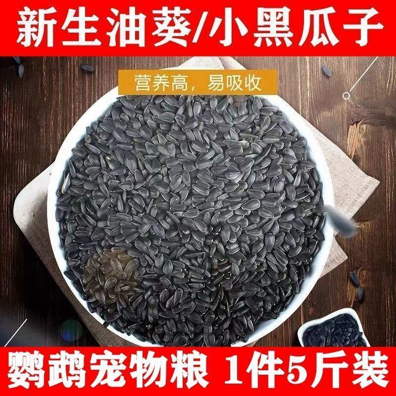 【产地销】年新黑珍珠小瓜子葵花子商用批发