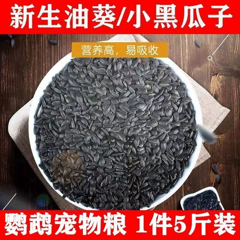 【产地销】年新黑珍珠小瓜子葵花子商用批发