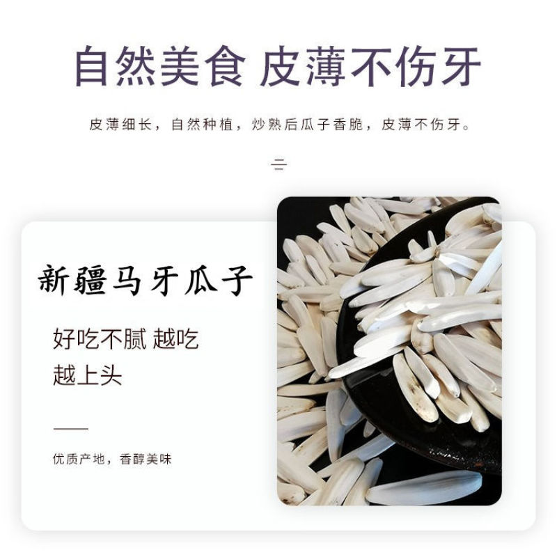 牙签瓜子牙签马牙葵花籽原味细长白皮瓜子新疆特产正宗新货批