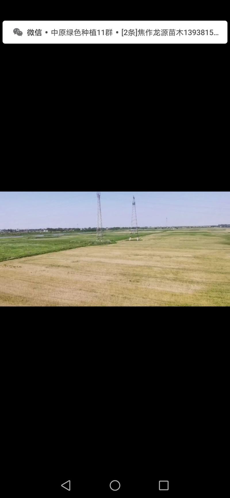 土地出租河滩地大面积10万亩，正常能种的土地，一马平川。
