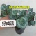仙客来小苗盆栽花卉植物。5颗一组小苗偏远不包邮