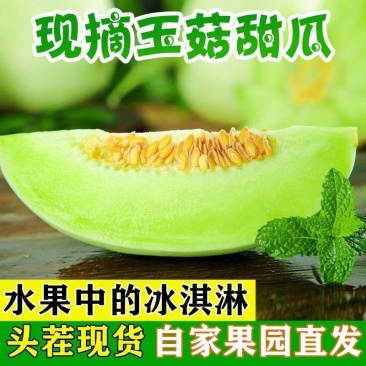 【活动】山东玉菇甜瓜哈蜜瓜甜蜜多汁产地直发一件代发包邮