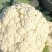 花菜。包菜量大质量稳定农户没有中间商冷库网套什么包装都有