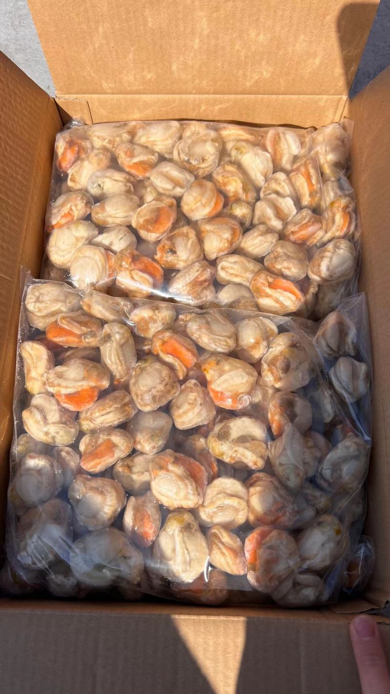 工厂直营各种各样的扇贝肉