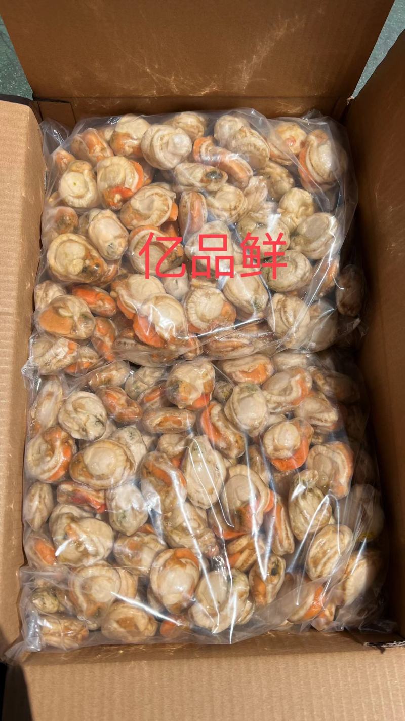 工厂直营各种各样的扇贝肉