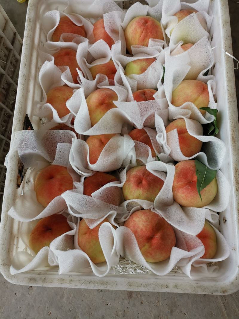 四川龙泉驿水蜜桃香甜可口早中晚熟各个时期都有