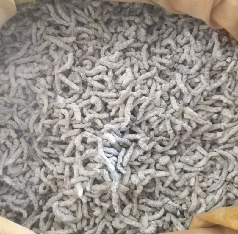 振兴药材批发供应僵蚕规格齐全
