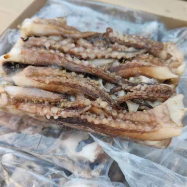 纯干二本足鱿鱼须一件20斤装20袋，北太二本足
