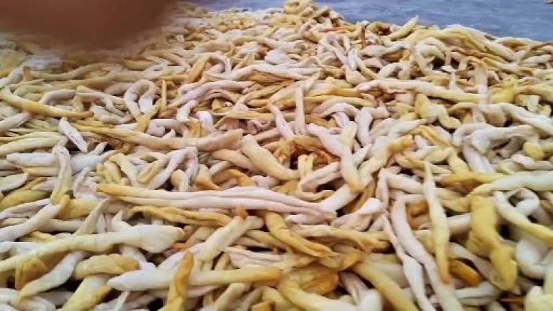 广西博白特产黄瓜皮脆爽当季蔬菜开胃纯手工新鲜腌制瓜淡盐