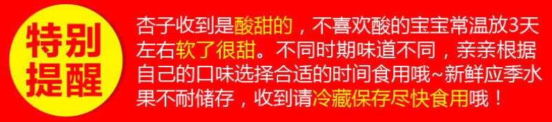 新鲜陕西金太阳大黄杏子当季应季孕妇水果整箱批发6斤包邮