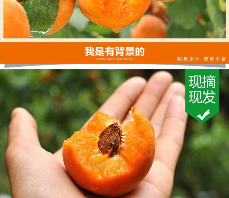 新鲜陕西金太阳大黄杏子当季应季孕妇水果整箱批发6斤包邮