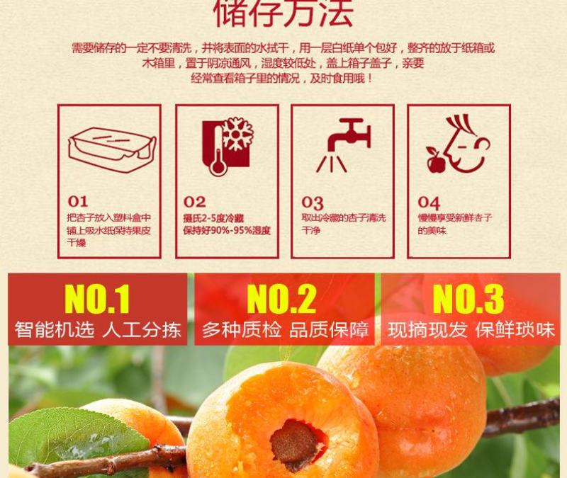 新鲜陕西金太阳大黄杏子当季应季孕妇水果整箱批发6斤包邮
