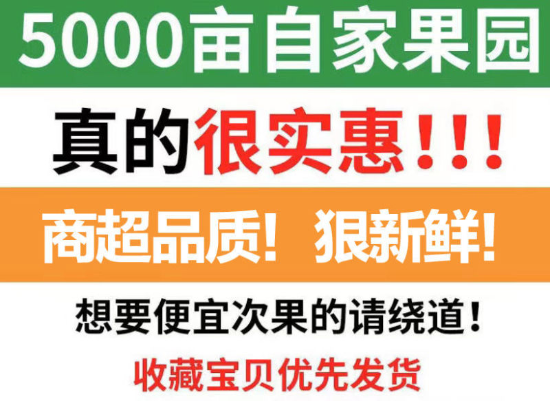 新鲜陕西金太阳大黄杏子当季应季孕妇水果整箱批发6斤包邮