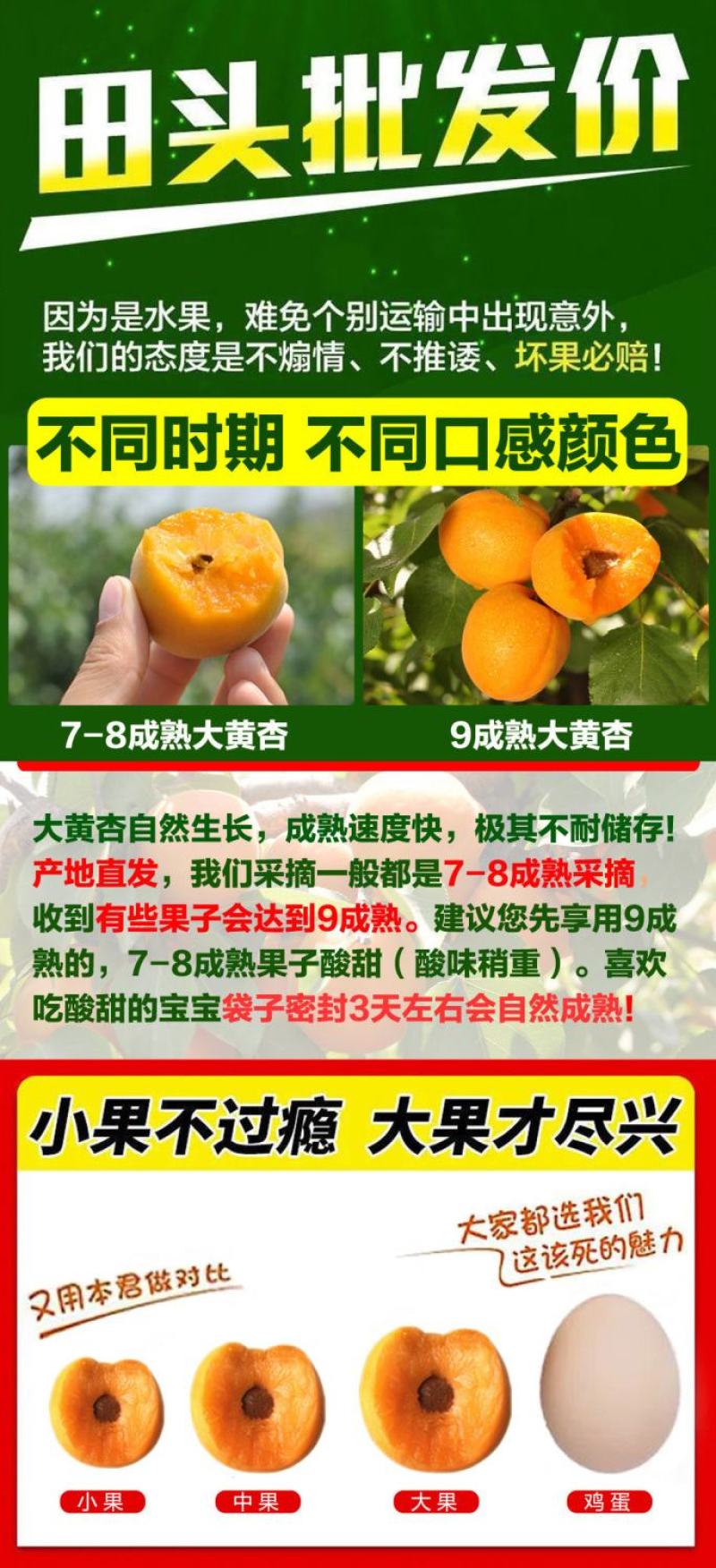 新鲜陕西金太阳大黄杏子当季应季孕妇水果整箱批发6斤包邮