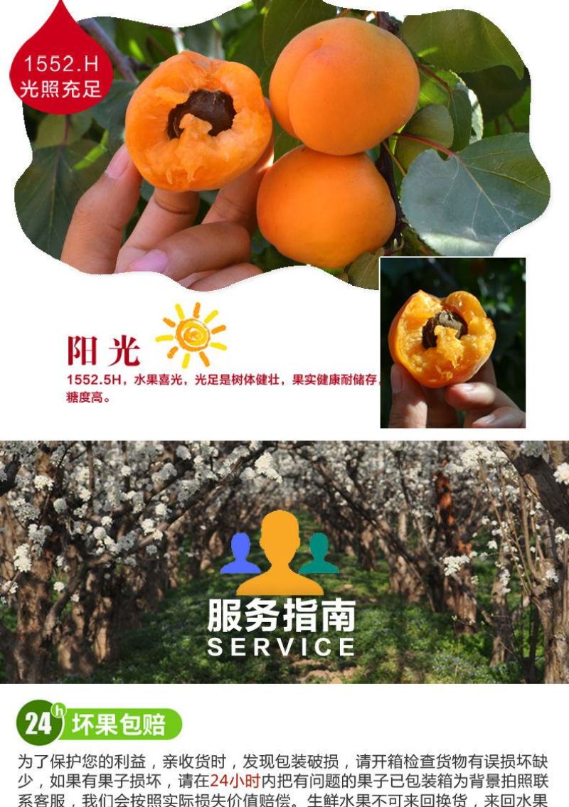 新鲜陕西金太阳大黄杏子当季应季孕妇水果整箱批发6斤包邮