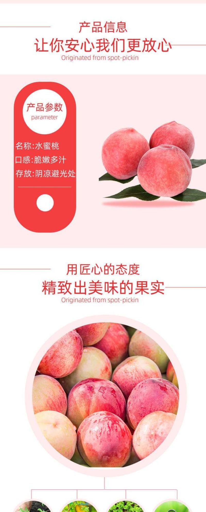 水蜜桃9斤桃子新鲜现摘毛桃当季应季水果脆甜桃水蜜桃整箱