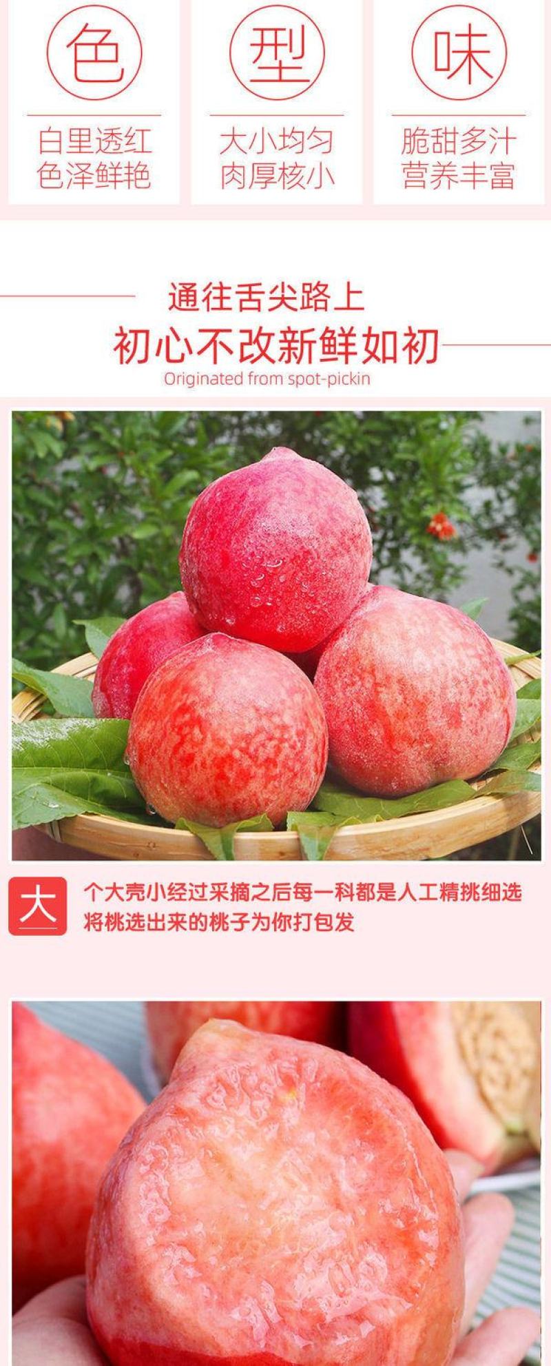 水蜜桃9斤桃子新鲜现摘毛桃当季应季水果脆甜桃水蜜桃整箱