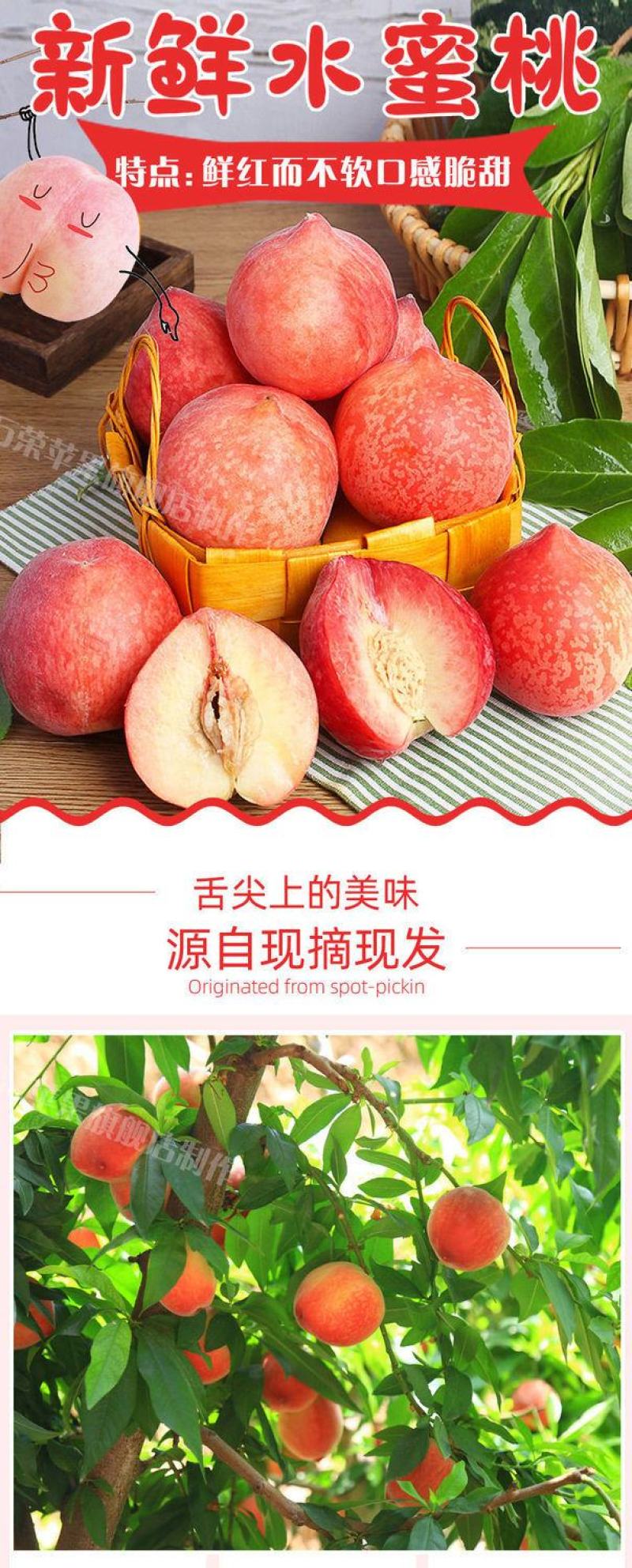 水蜜桃9斤桃子新鲜现摘毛桃当季应季水果脆甜桃水蜜桃整箱