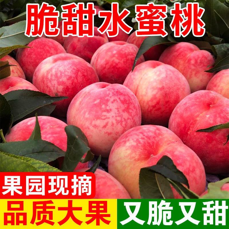 水蜜桃9斤桃子新鲜现摘毛桃当季应季水果脆甜桃水蜜桃整箱