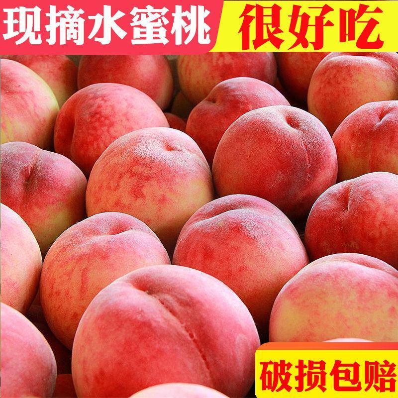 水蜜桃9斤桃子新鲜现摘毛桃当季应季水果脆甜桃水蜜桃整箱