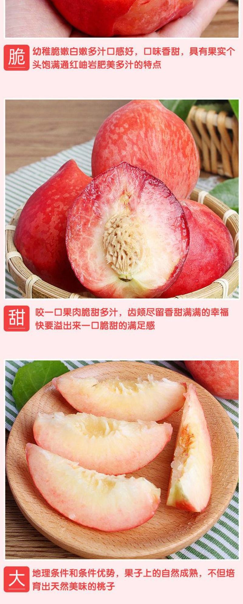 水蜜桃9斤桃子新鲜现摘毛桃当季应季水果脆甜桃水蜜桃整箱