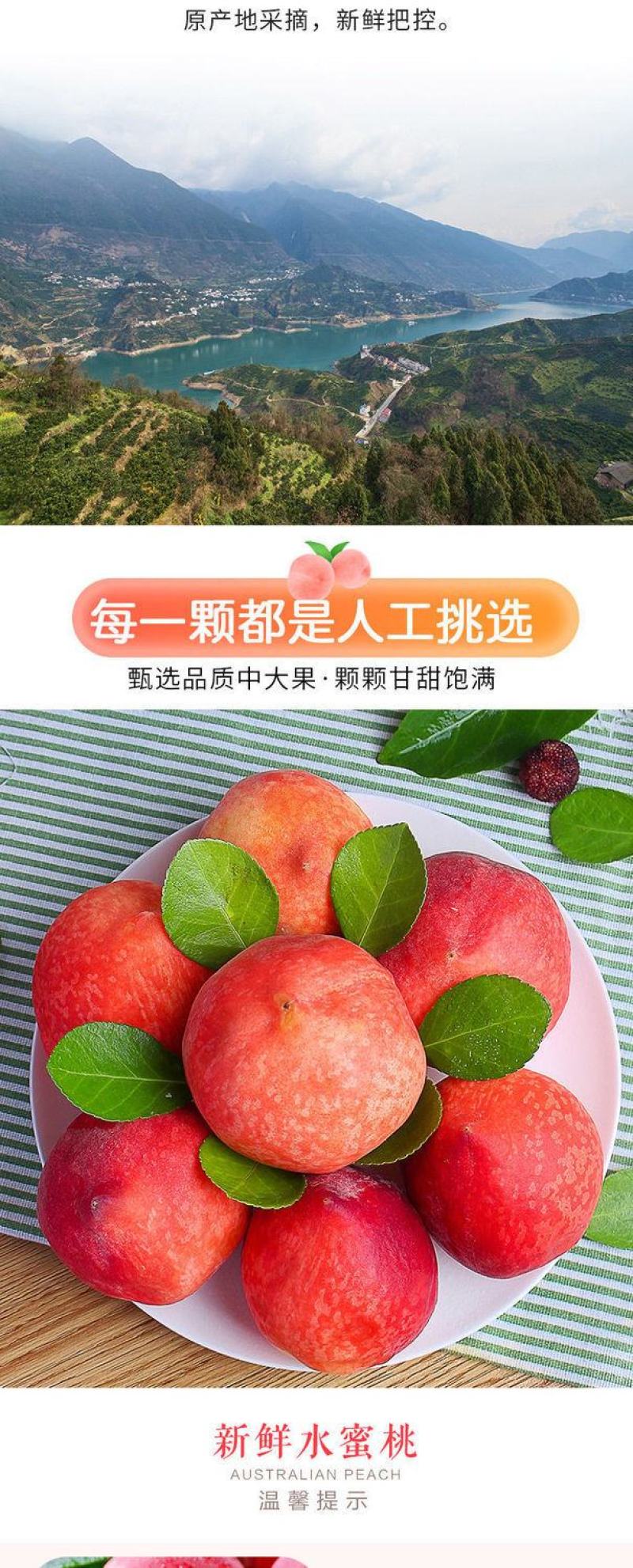 水蜜桃9斤桃子新鲜现摘毛桃当季应季水果脆甜桃水蜜桃整箱