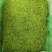 山银花量大从优货源保证，质量精品！欢迎咨询