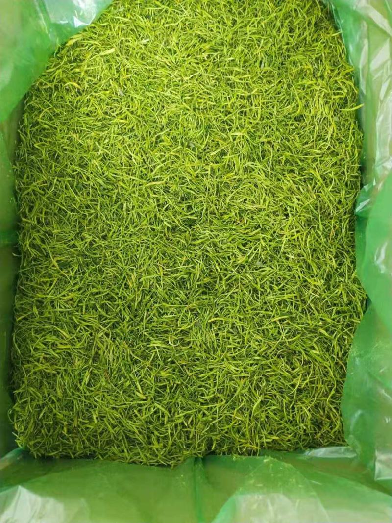 山银花量大从优货源保证，质量精品！欢迎咨询
