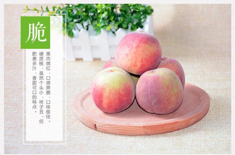重庆开州油桃子
