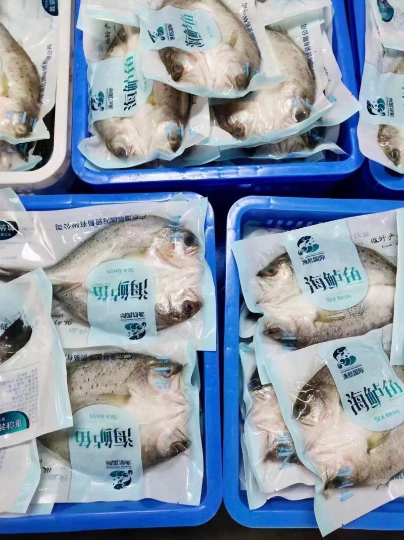 新鲜冷冻海鲈鱼7-8两腌制开背鲈鱼白蕉海鲈冰冻海鲜