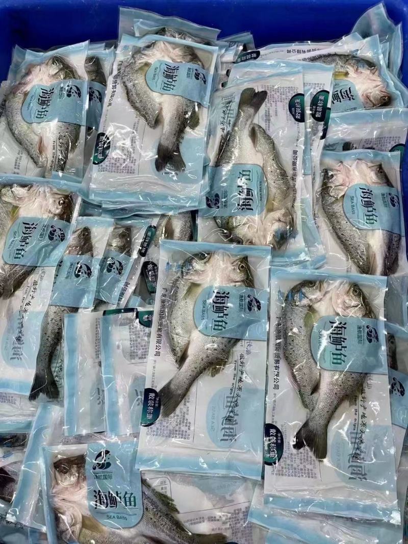 新鲜冷冻海鲈鱼7-8两腌制开背鲈鱼白蕉海鲈冰冻海鲜
