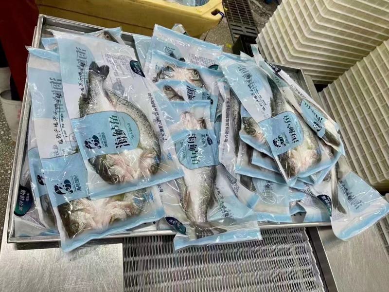 新鲜冷冻海鲈鱼7-8两腌制开背鲈鱼白蕉海鲈冰冻海鲜