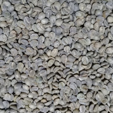 云南保山小粒咖啡豆，烘焙豆，生豆
