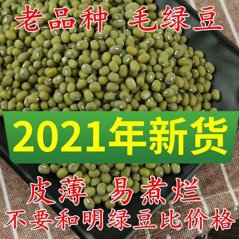 绿豆现货批发（东北进口）毛绿豆皮薄易煮烂袋装50