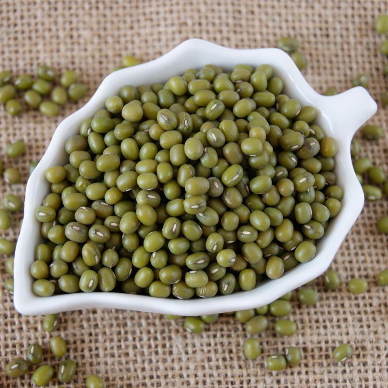 绿豆现货批发（东北进口）毛绿豆皮薄易煮烂袋装50