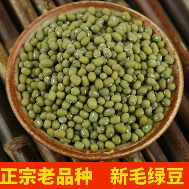 绿豆现货批发（东北进口）毛绿豆皮薄易煮烂袋装50
