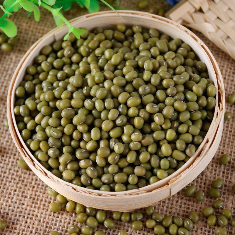 绿豆现货批发（东北进口）毛绿豆皮薄易煮烂袋装50