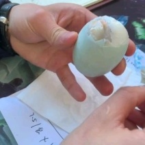 正宗高邮咸鸭蛋