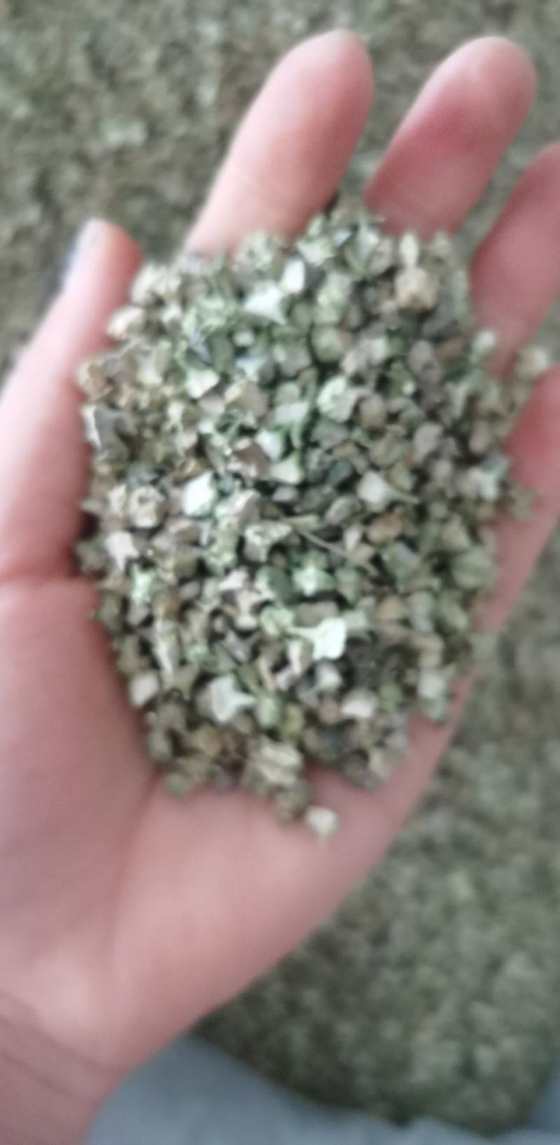振兴药材批发供应白蒺藜规格齐全产地直供一手货源全国发货