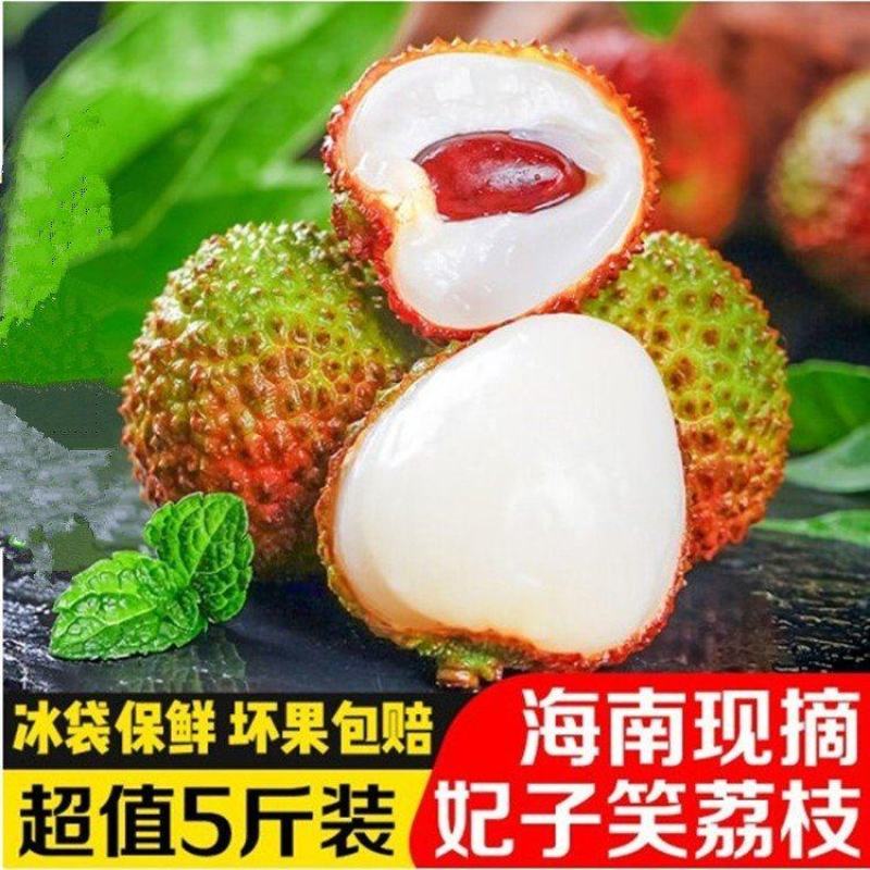 【现货现发】海南妃子笑荔枝，京东/顺丰冷链