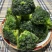 速冻西兰花西兰花碎漳州本地原料优质冷冻西兰花碎有货