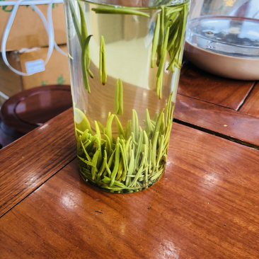 雀舌茶四川雀舌茶2026年雀舌茶包邮