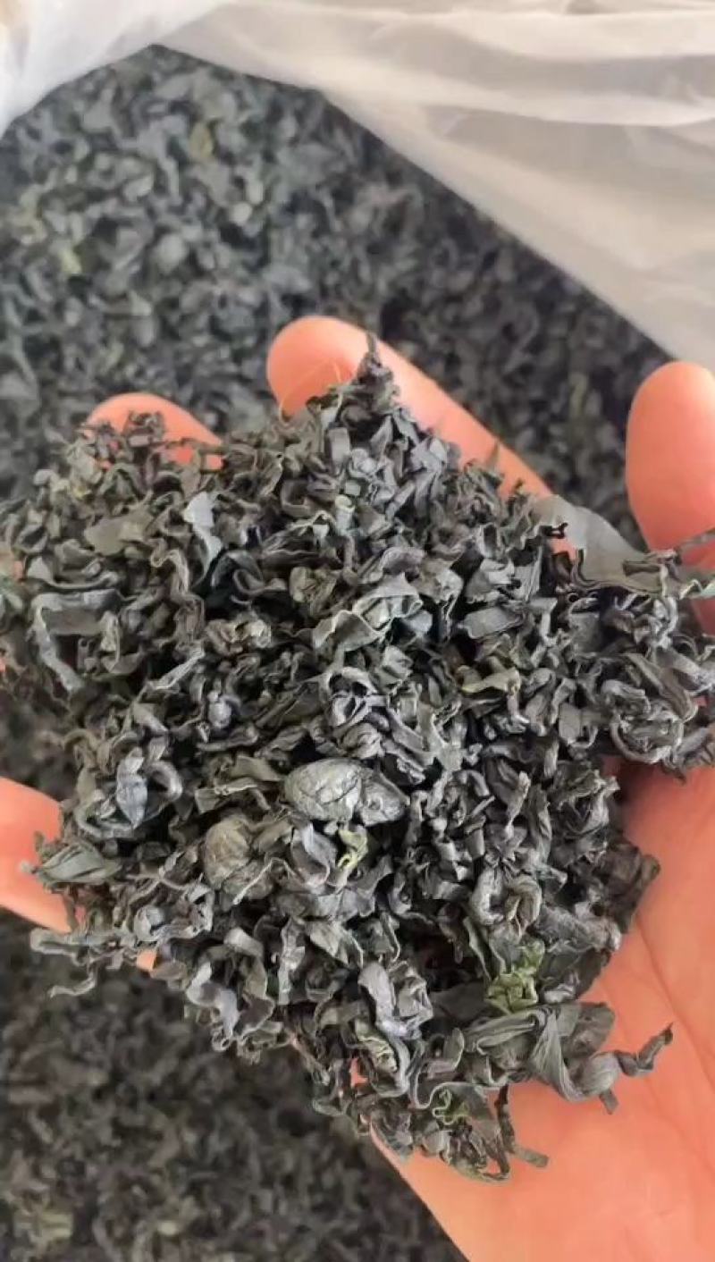 40g50g电商主播一件代发海木耳裙带菜烘干海白菜