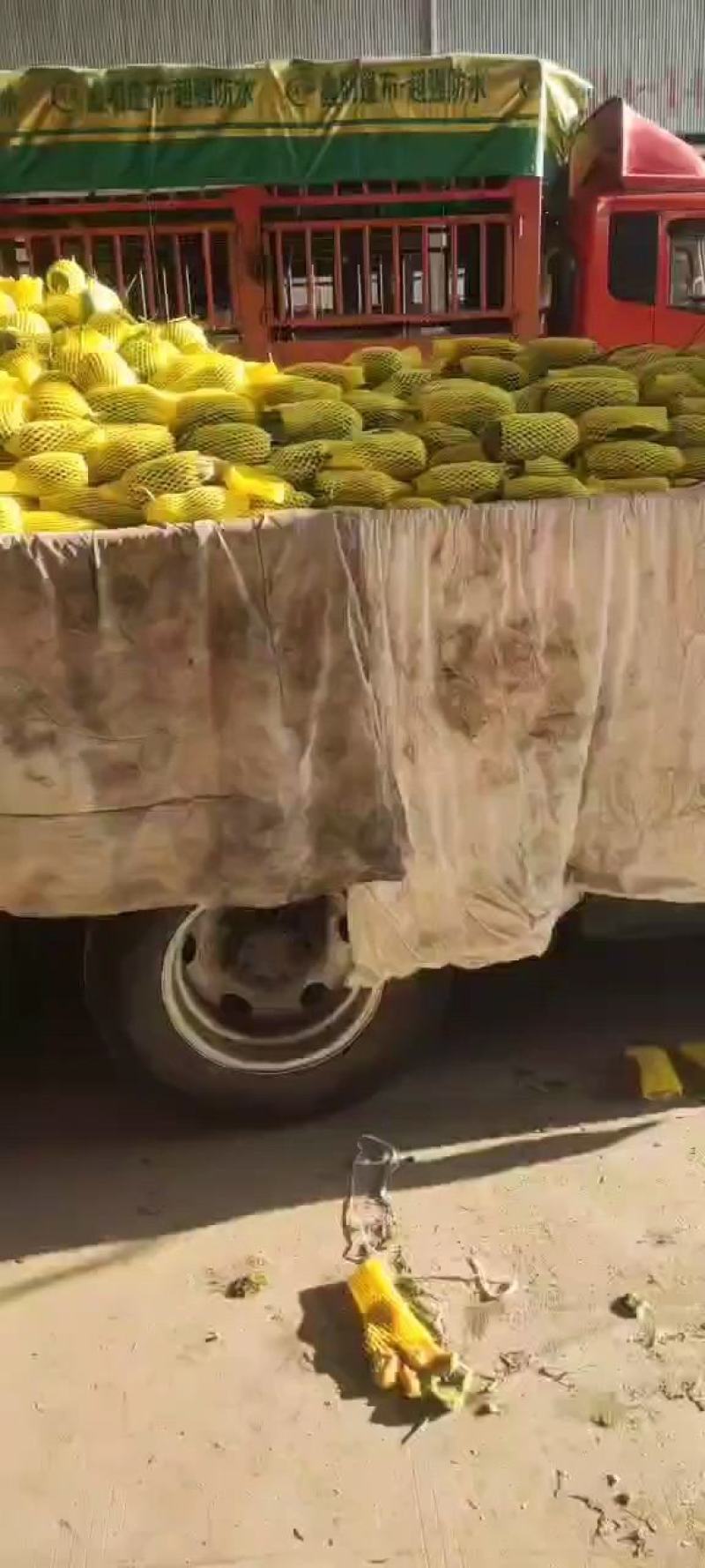 羊角蜜
