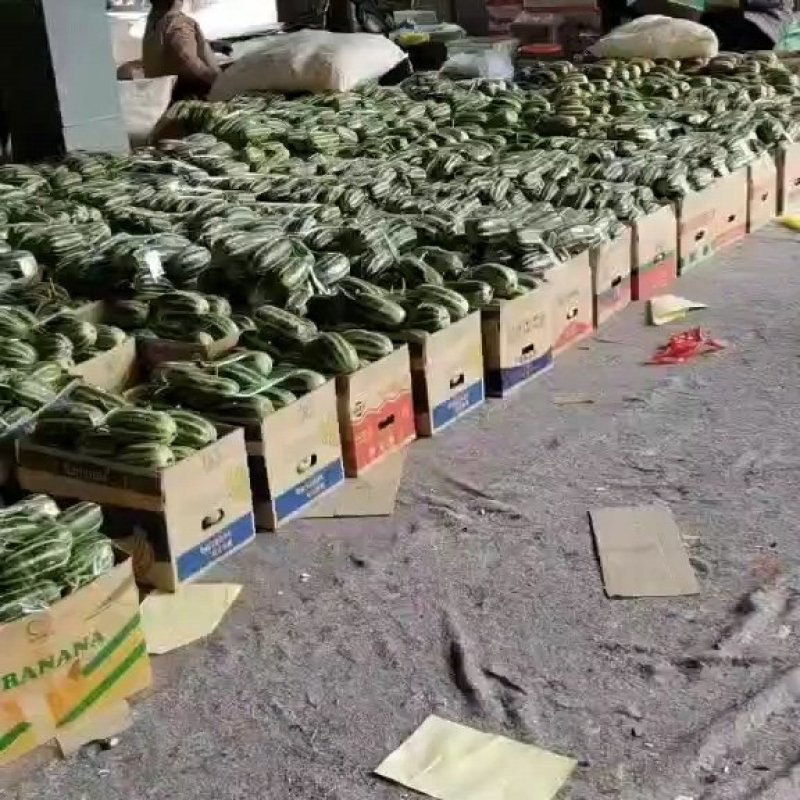 博洋9