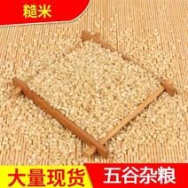 糙米现货批发糙米东北胚芽米玄米五谷杂粮粗粮袋装47斤